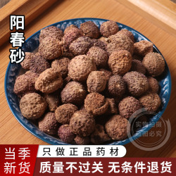 精选阳春砂仁50克 250克 500克可搭配枸杞煮水泡水煲汤