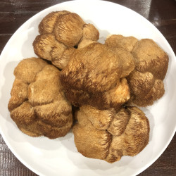 精选  靓猴头煲汤料（胶）