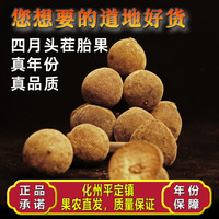 化州橘红40年老树传统原产地收藏首选化橘红果皮果片