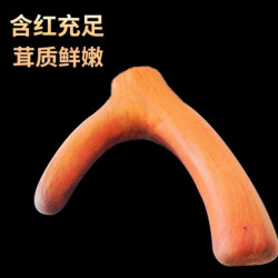 2026 鲜鹿茸枝产地