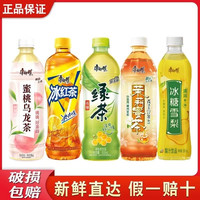 康师傅 冰红茶500ml*15瓶整箱茶果汁茉莉蜜茶绿茶整箱正品批发特价