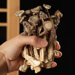 脆脆菇鹿茸菇