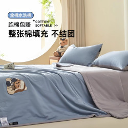 TEENIE WEENIE TeenieWeenie小熊A类薄款水洗棉学生轻奢夏凉被空调被可机洗夏被