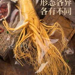 鲜人参泡酒煲汤高品质足龄保鲜参吉林原产地高龄