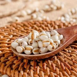 贵州薏米仁可搭茯苓芡实无添加净含量