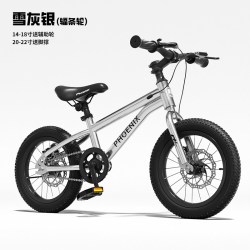 PHOENIX 小童精品儿童自行车3到6岁男女孩8-10-12岁变速山地单车