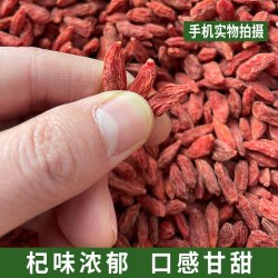 无熏染正宗宁夏产地枸杞搭配枣新货原产地中宁发货送硫磺检测剂