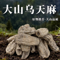 正宗乌天麻干货晒干个子天麻粉煲汤泡酒