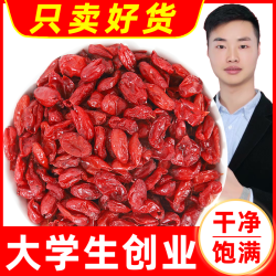 正宗山茱萸正品特级山萸肉泡茶泡水泡酒中药材枣皮山茱萸500g正品