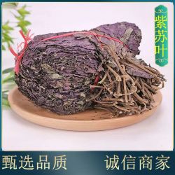 紫苏叶正宗新鲜干货小叶紫苏叶泡水喝紫苏叶泡脚正品