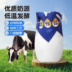 兮域 哈萨克风味酸奶180g/瓶营养精选优质奶源风味发酵乳早餐奶