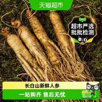 88VIP：玲珑岭 顺丰上门正宗东北新鲜整根人参吉林长白山野山参煲汤泡酒药材