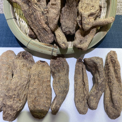 云南特产乌天麻深山采挖自然晾晒营养丰富