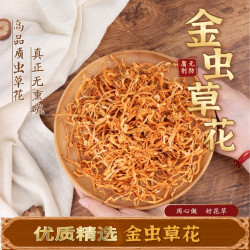 新货饱满孢子头虫草花营养汤料儿童汤菌菇汤枸杞虫草花优质煲汤