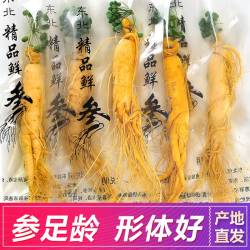 长白山袋装优质非野山参泡酒专用鲜人叁非林下参优质枸杞泡酒新鲜