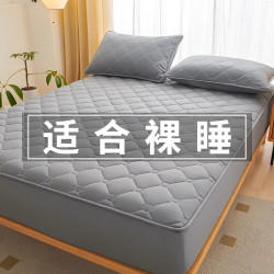 PRO-LOVE 床笠单件夹棉床垫保护套加厚磨毛床罩套全包防尘床套罩非全棉纯棉