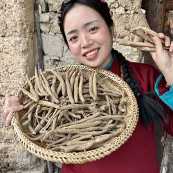 正宗甜当归独脚当归土当归炖汤