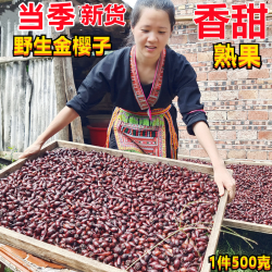 野生金樱子果一件一斤500克（熟果蒸晒约九成干度）枸杞等食用包邮