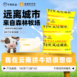 乍甸 云南乍甸纯酸奶180g*12袋＊4次风味发酵乳酸奶