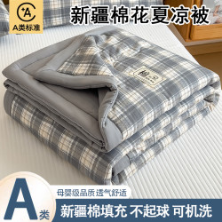 新疆棉夏凉被轻薄空调被家用透气夏被大学生宿舍单人被可水洗机洗