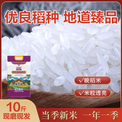 金健 2025当季新米 泰国香米  箱规4包5kg 5kg 5kg