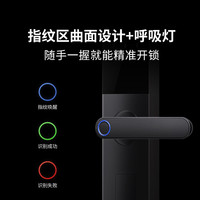龙霆 E3 指纹密码 执手款 电子锁