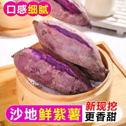 襄阳正宗沙地紫薯紫罗兰新鲜紫薯蜜薯番薯批发紫薯新鲜当季现挖