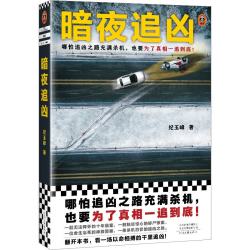 暗夜追凶（哪怕追凶之路充满杀机，也要为了真相一追到底！）小说悬疑推理小说十年悬案纪玉峰杀机四伏