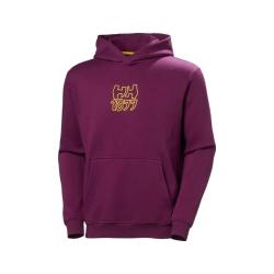 HELLY HANSEN 男式棉质抓绒图案卫衣