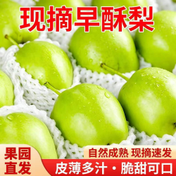 京农超 甘肃早酥梨梨子 净重4.5斤 5A头茬果 | 单果200g+