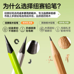 纽赛 黑木三角杆洞洞铅笔 正姿防咬粘顶 HB 10支礼盒装