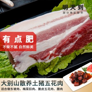 缘琳山 散养土猪五花肉 500g*2 冷冻猪肉