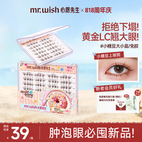MR.WISH 免胶假睫毛微斜飞美睫自然不压眼QJ