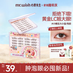 MR.WISH 免胶假睫毛微斜飞美睫自然不压眼QJ