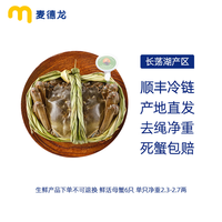 METRO 鲜活长荡湖大闸蟹 精品母蟹6只(115-135g/只)