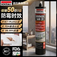 CR防霉抗菌美容玻璃胶 300ml