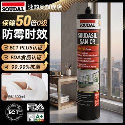 CR防霉抗菌美容玻璃胶 300ml