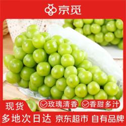 京觅 江苏阳光玫瑰 净重3斤 单果8g起 玫瑰香印青提 应季水果源头直发