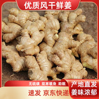 京喜加 精品山东大姜2斤带箱