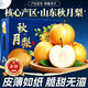 京农超 山东正宗秋月梨 净重4.5斤精品果 产地直发