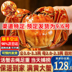 大闸蟹 现货鲜活大螃蟹公母蟹 公3.0-3.3两 母2.0-2.3两 8只/四对 礼盒装