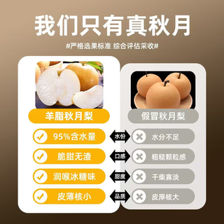 京农超 秋月梨 山东莱阳 2.25kg