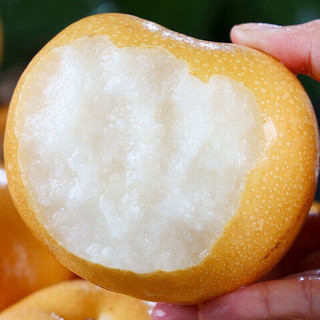 京农超 秋月梨 山东莱阳 2.25kg