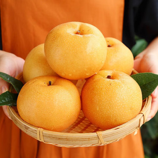 京农超 秋月梨 山东莱阳 2.25kg