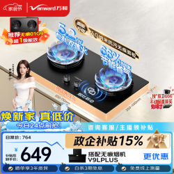 万和 天然气燃气灶具煤气炉双灶嵌入式磨砂灶5.2KW家用猛火抗污无痕肤感 C7L50