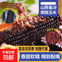 京东 糯玉米棒糯软糯香甜糯玉米 黑糯玉米150g-220g*2棒