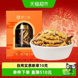 源江草 冬虫夏草大号断草20克实惠装断虫草 自食佳选 送礼营养品