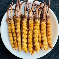 其他家 2026西藏冬虫夏草虫草官方旗舰店精选整根鲜虫草