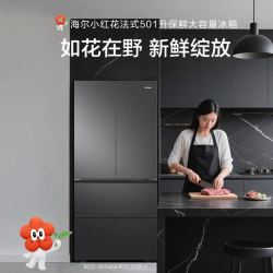 海尔 小红花系列 BCD-501WGHFDCDS9U1 法式超薄多门冰箱 星蕴银 501L
