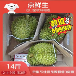 京鲜生 进口金枕鲜榴莲 2-4个装 净重14斤以上 生鲜水果 新鲜水果